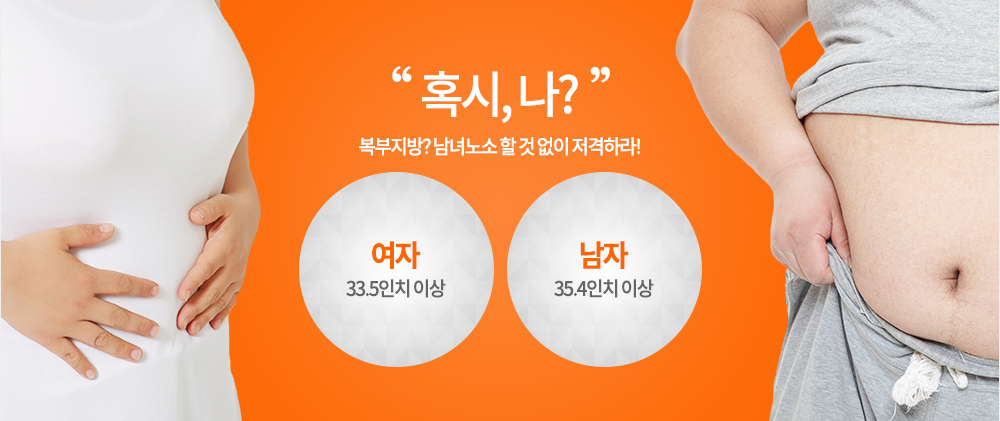 혹시, 나?
남자 35.4 인치 이상 여자 33.5인치 이상
