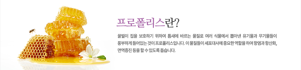 특징
꿀벌이 집을 보호하기 위하여 틈새에 바르는 물질로 여러 식물에서 뽑아낸 유기물과 무기물들이 풍부하게 들어있는 것이 프로폴리스입니다. 이 물질들이 세포대사에 중요한 역할을 하여 항염과 항산화, 면역증진 등을 할 수 있도록 돕습니다.
