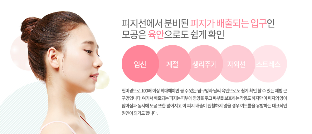 -특징
피지선에서 분비된 피지가 배출되는 입구인 모공은 현미경으로 100배 이상 확대해야만 볼 수 있는 땀구멍과 달리 육안으로도 쉽게 확인 할 수 있는 제법 큰 구멍입니다. 여기서 배출되는 피지는 피부에 영양을 주고 피부를 보호하는 작용도 하지만 이 피지의 양이 많아짐과 동시에 모공 또한 넓어지고 이 피지 배출이 원활하지 않을 경우 여드름을 유발하는 대표적인 원인이 되기도 합니다.
